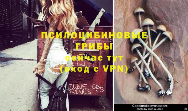 мескалин Липки