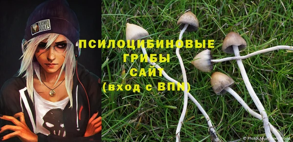экстази Майский