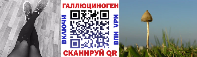 Псилоцибиновые грибы прущие грибы  MEGA вход  Обнинск 